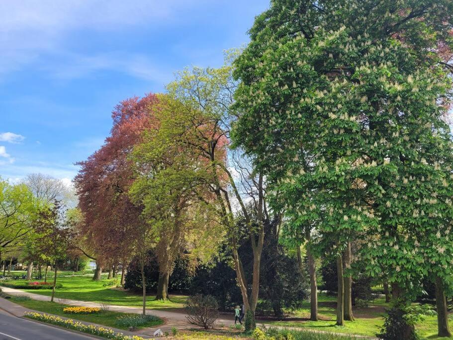 Mit Blick In Den Emsseepark 瓦伦多夫 外观 照片