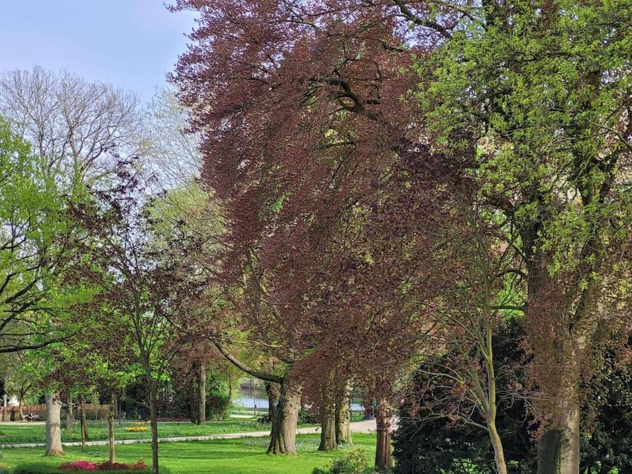 Mit Blick In Den Emsseepark 瓦伦多夫 外观 照片